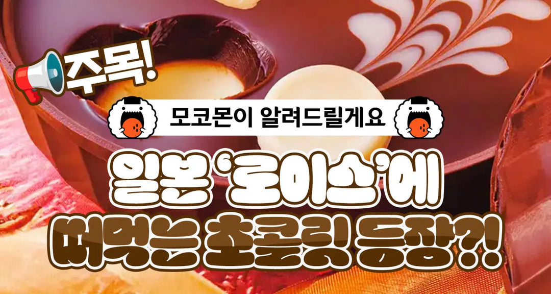주목-일본-로이스-에-떠먹는-초콜릿-등장-모코몬이-알려드릴게요 모코몬 일본직구