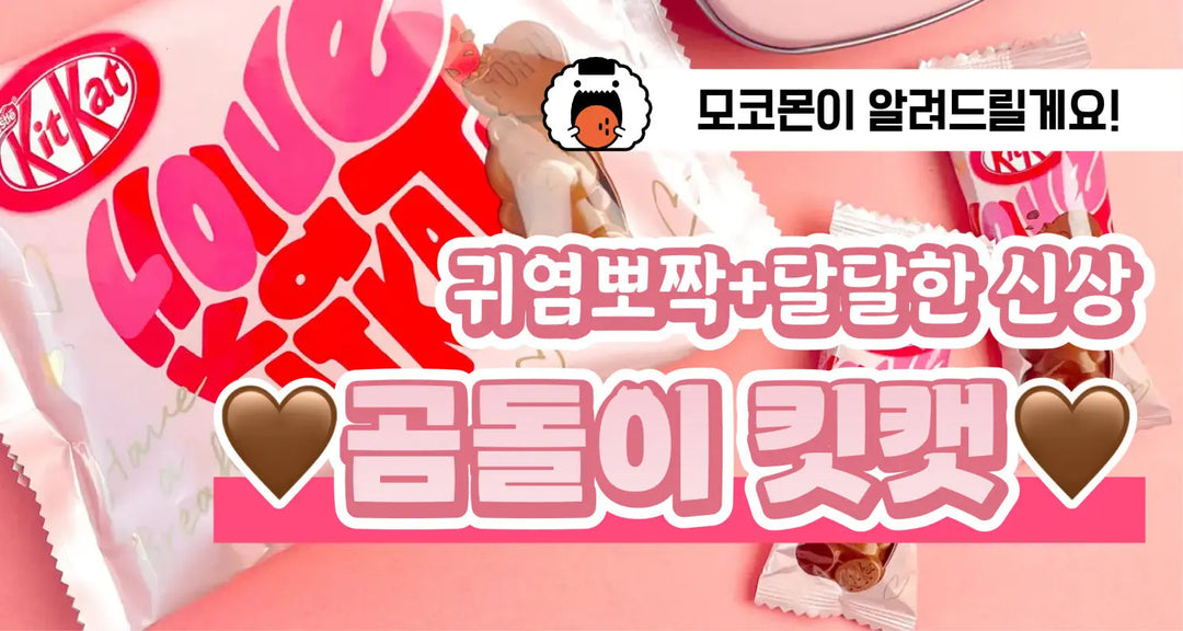 귀염뽀짝-달달한-신상-곰돌이-킷캣-모코몬이-알려드릴게요 모코몬 일본직구