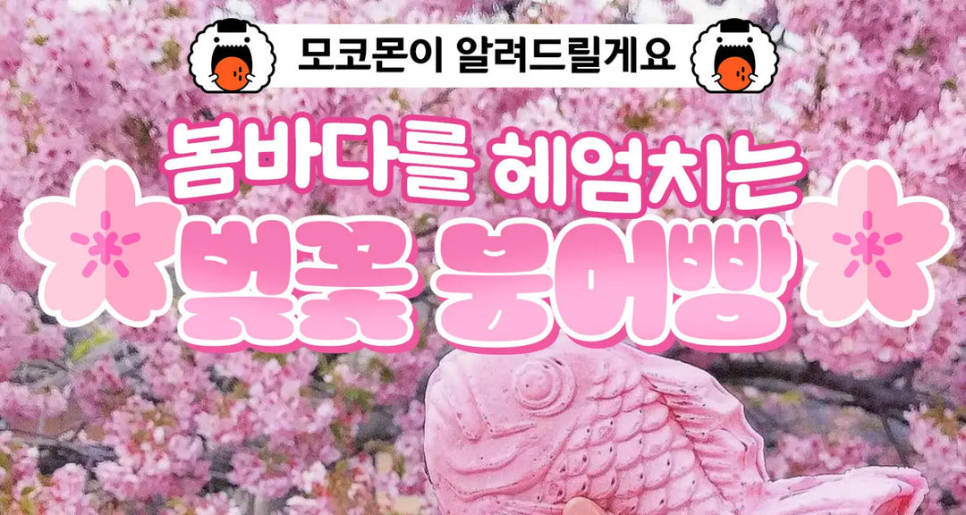 봄바다를-헤엄치는-벚꽃-붕어빵 모코몬 일본직구