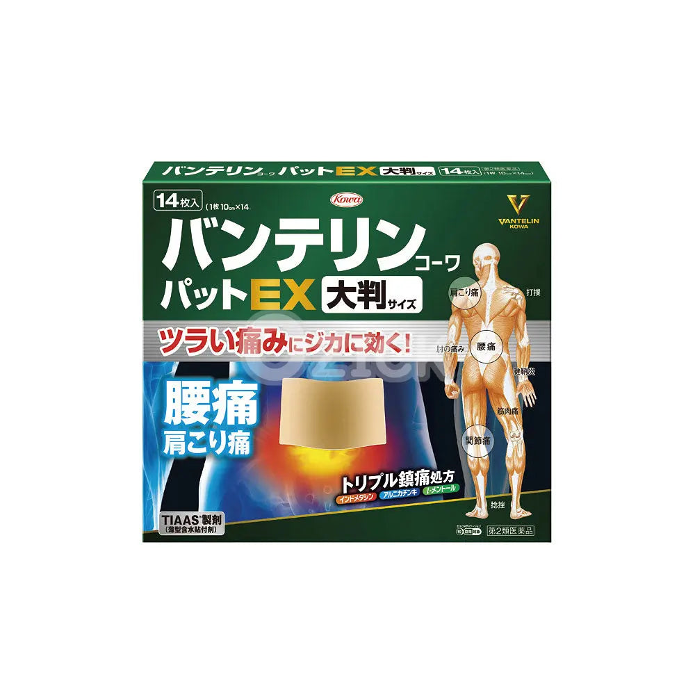 [KOWA] 반테린 코와 파스 EX 대형 14매입 - 모코몬 일본직구